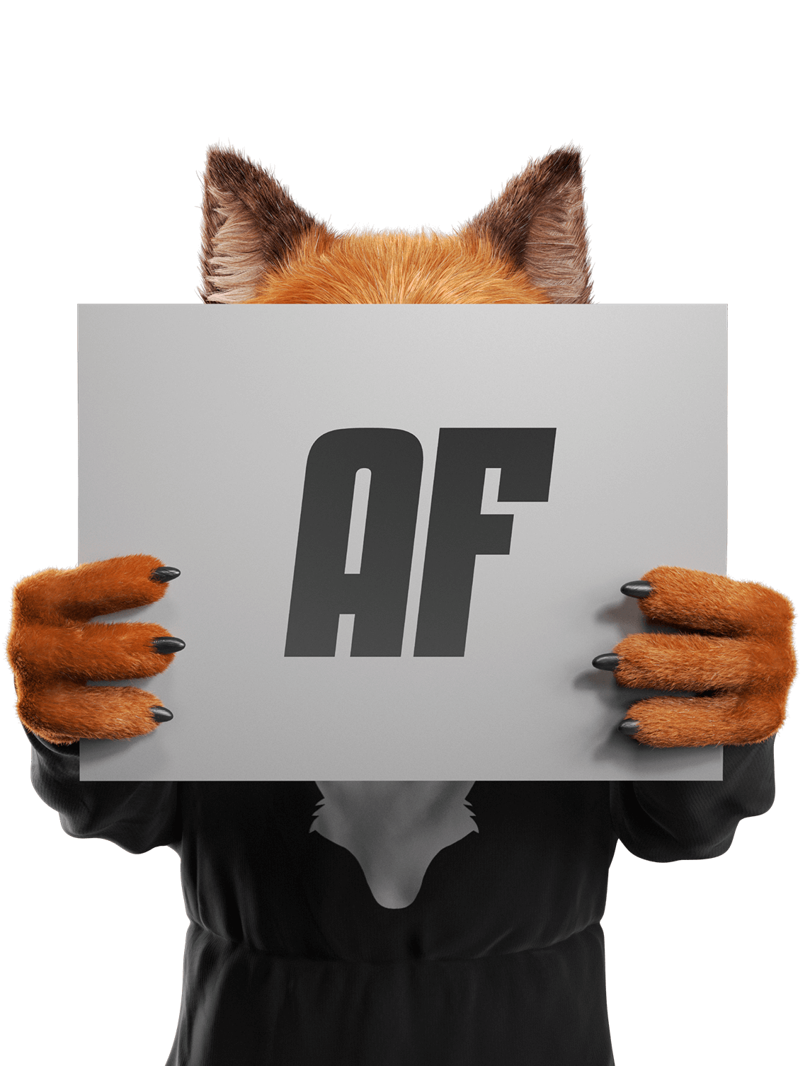 Anonymous Fox