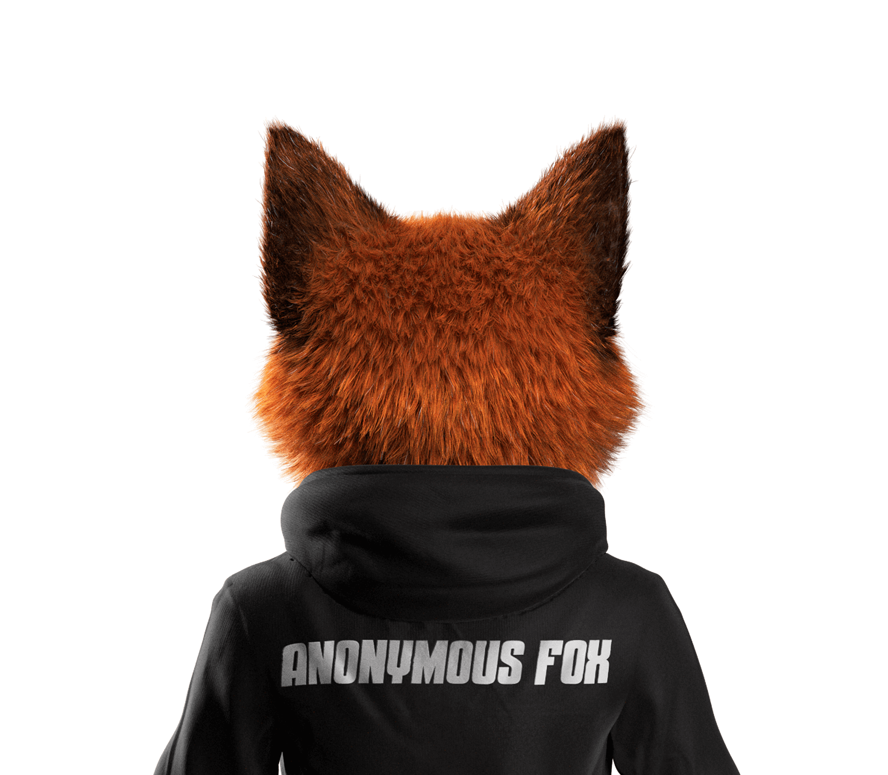 AnonymousFox چیست؟