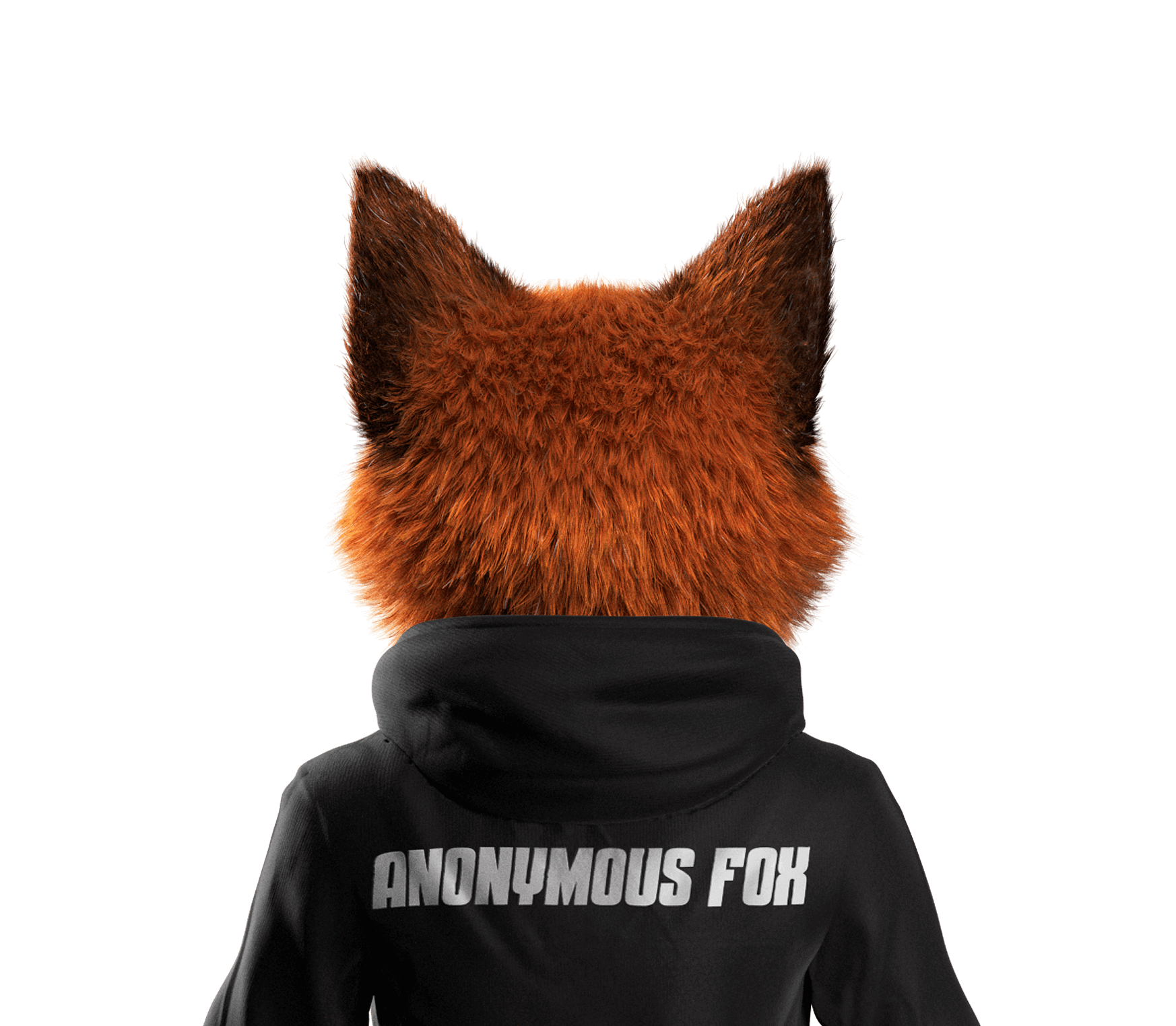 Anonymous Fox