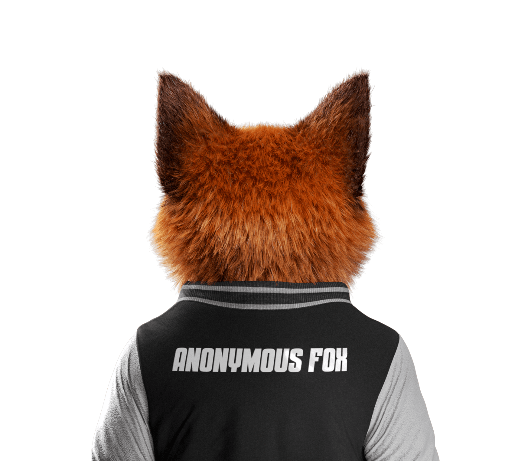 Anonymous Fox