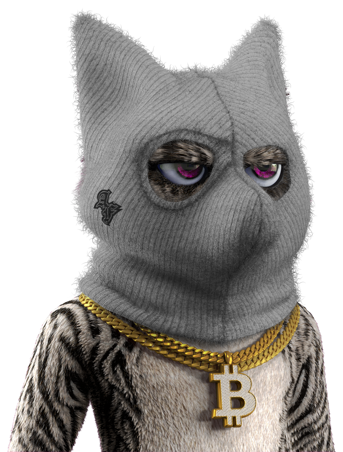Anonymous Fox